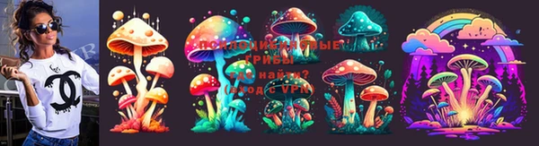 молекула духа Балахна