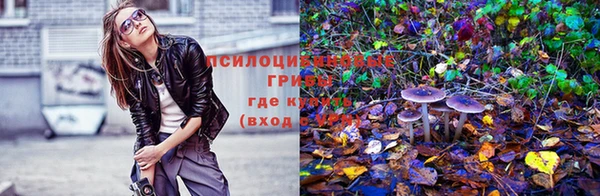 молекула духа Балахна