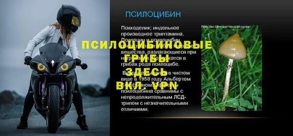 молекула духа Балахна
