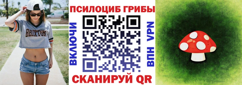Галлюциногенные грибы MAGIC MUSHROOMS  где найти   Белёв 